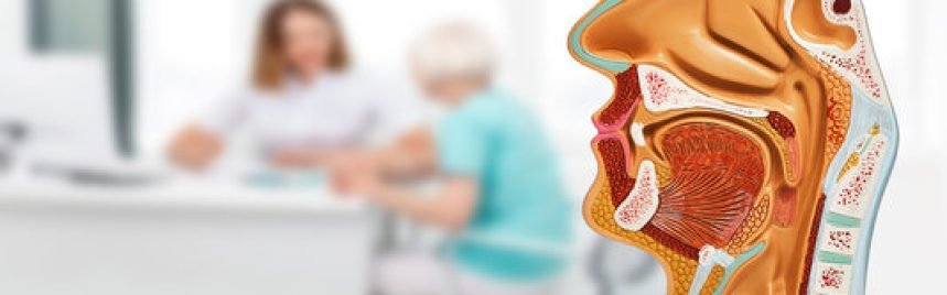 360_F_407479294_ABR8g3qhLmI49Z81vjHjeHhWMuP3XVGX